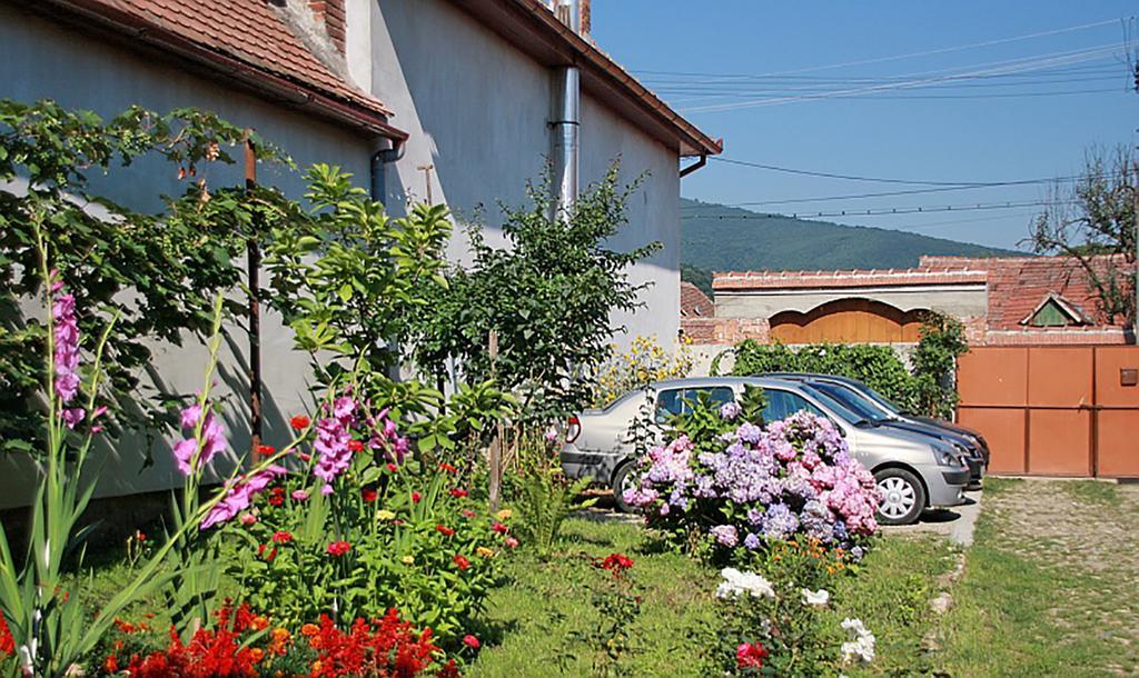 Pensiunea Bendorfeanu Răşinari Extérieur photo