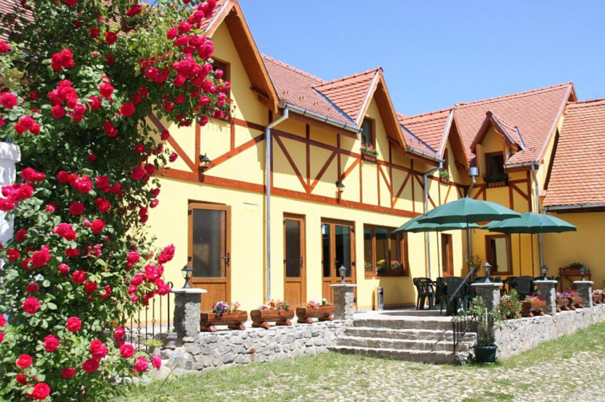 Pensiunea Bendorfeanu Răşinari Extérieur photo