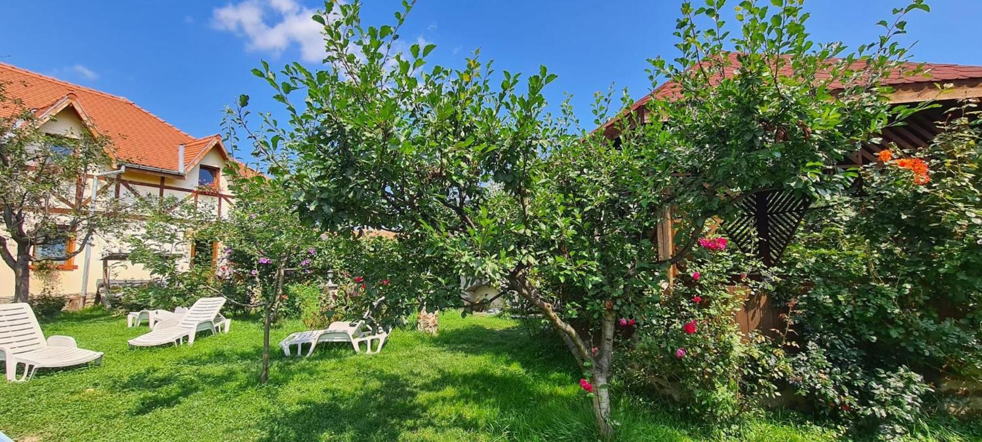 Pensiunea Bendorfeanu Răşinari Extérieur photo