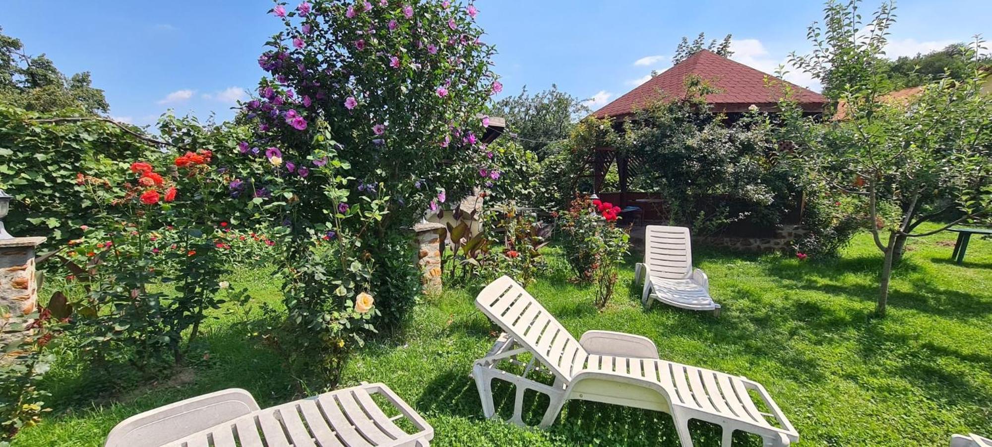 Pensiunea Bendorfeanu Răşinari Extérieur photo